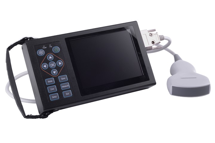 Scanner ultrasonique portable de type B BU202, avec sonde abdominale convexe de 3,5 MHz