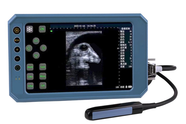 Scanner ultrasonique portatif de Type B BU403T, avec écran tactile et sonde linéaire rectale de 6.5MHz, pour usage vétérinaire
